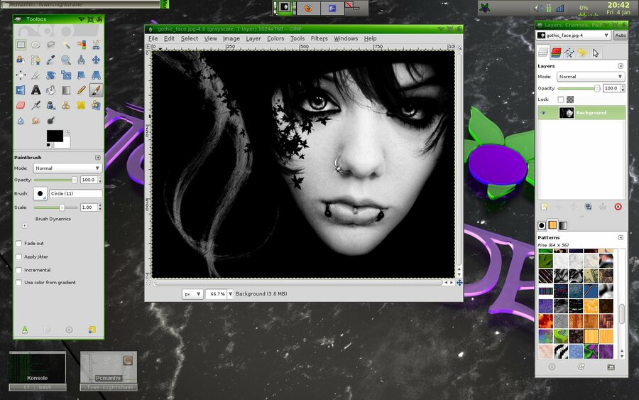 Screen shot of Fvwm Nightshade.